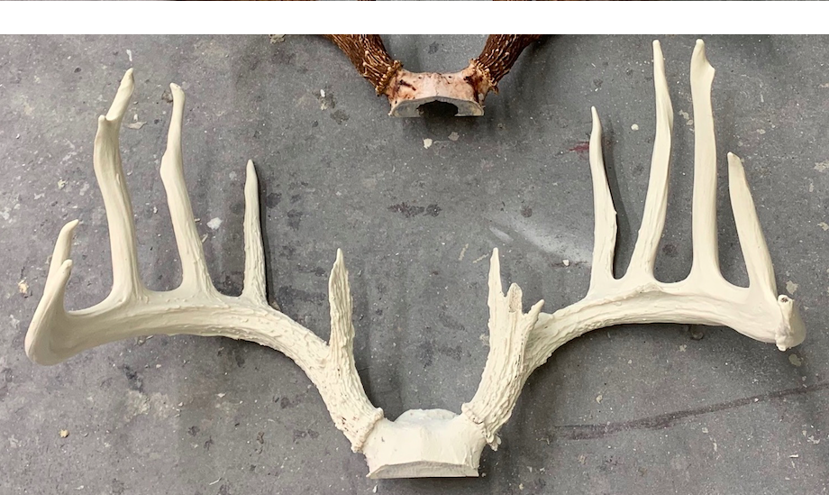 UNFINISHED MASSIVE WHITETAIL REPLICA SCORES 217"  ANTLER DEER ANTLERS TAXIDERMY 